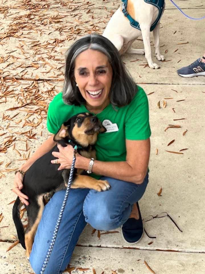 a person holding a small black and brown dog